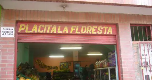 PLACITA LA FLORESTA PLACITA LA FLORESTA